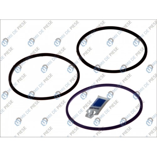 Set garnituri cilindru