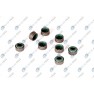 Set complet garnituri, motor