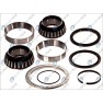 Kit reparatii butuc roata