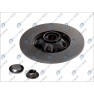 Brake disk with bearing