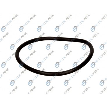 Etansare cutie viteze/element etansare