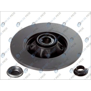 Brake disk with bearing
