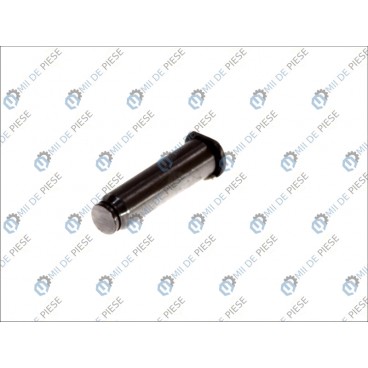 Brake shoe pivot