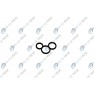 Element al unui sistem CR