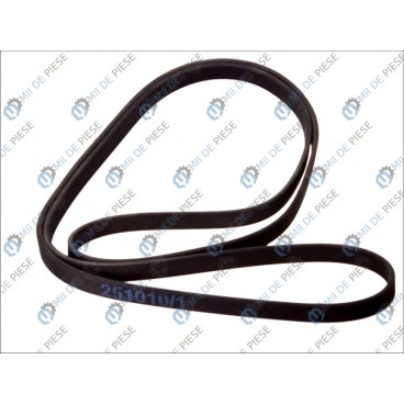 Curea transmisie canelata