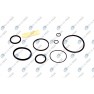 Set complet garnituri, motor