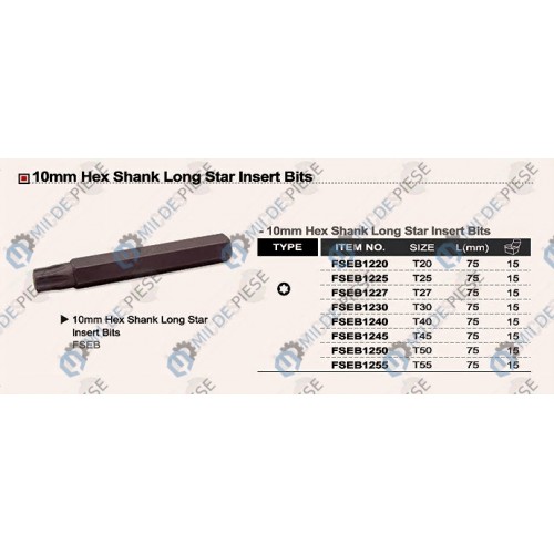10mm TORX gaura