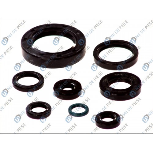 Set garnituri motor Set garnituri motor