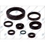 Set garnituri motor