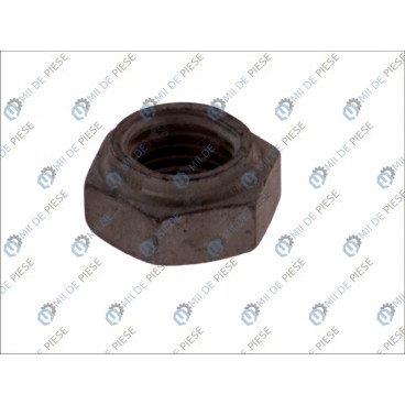 Leaf spring fixing nut