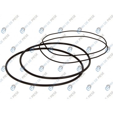 Set garnituri cilindru