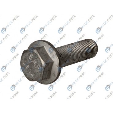 Leaf spring fixing bolt