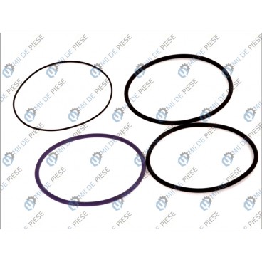 Set garnituri cilindru
