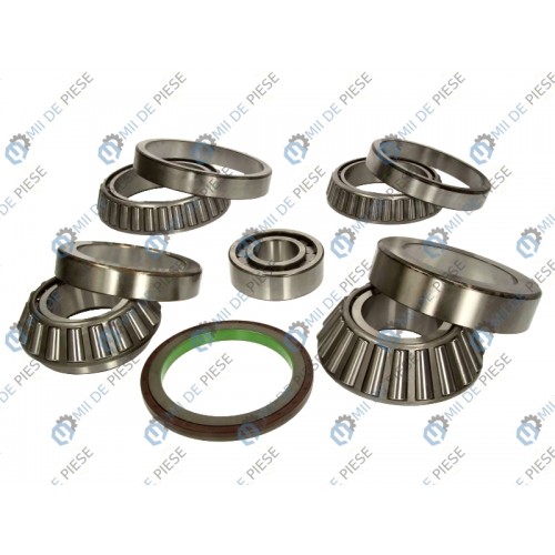 Kit reparatie axa spate
