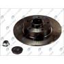 Brake disk with bearing