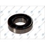 Standard ball bearing
