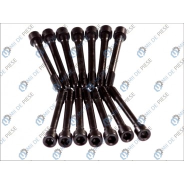 Set bolturi chiulasa