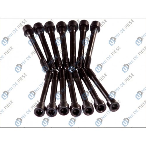 Set bolturi chiulasa