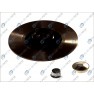 Brake disk with bearing
