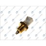 Senzor temperatura aer admisie