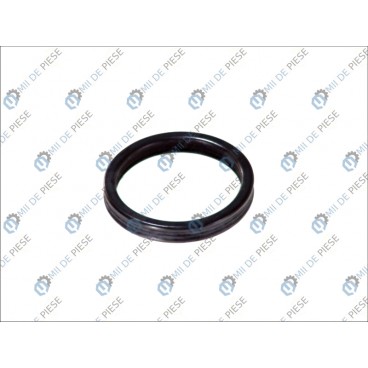 Garnitura conducta radiator