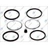 Kit reparatie etrier frana