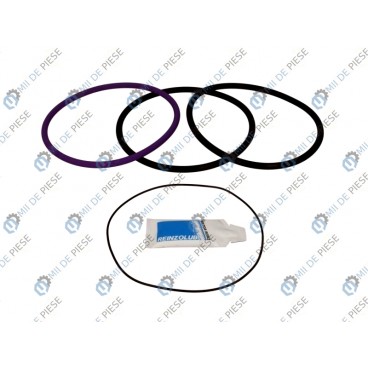 Set garnituri cilindru