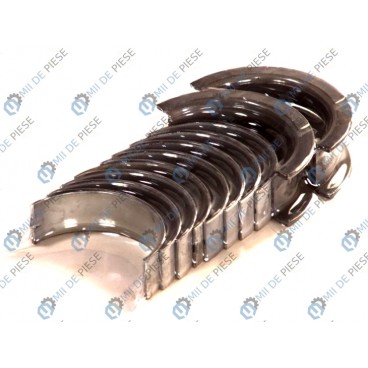 Cuzineti arbore cotit (set)