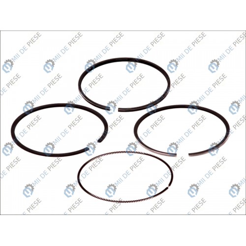 Segmenti piston