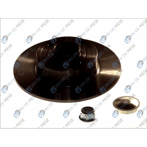 Brake disk with bearing