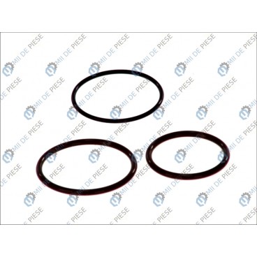 Elementele sistemului cu unitate de injectie