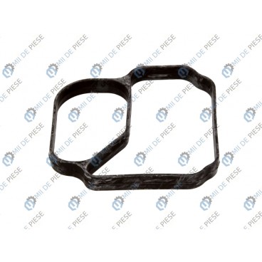 Garnitura termostat
