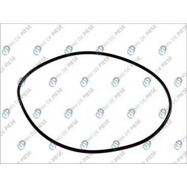 Gearbox o-ring