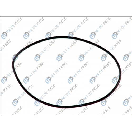 Gearbox o-ring