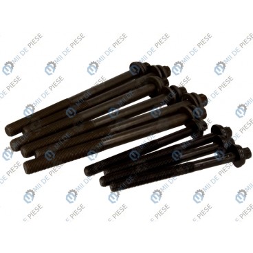 Set bolturi chiulasa