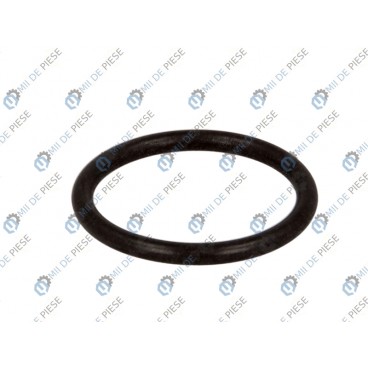 Gearbox o-ring