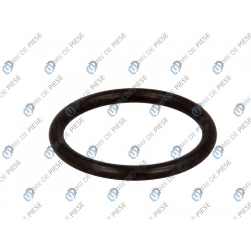 Gearbox o-ring