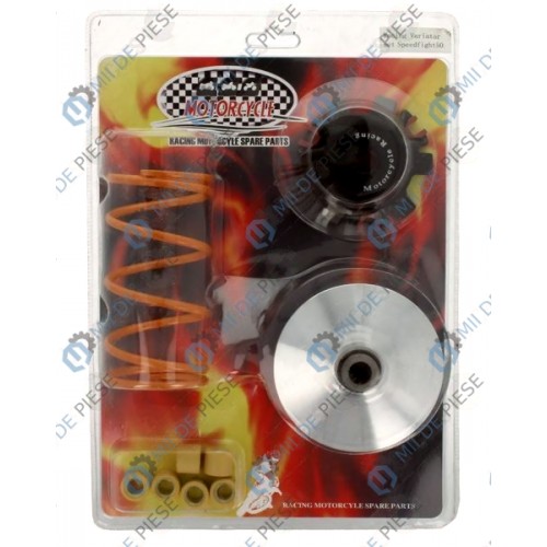 Variator