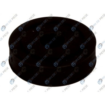 Amortizor suspensie Mc Pherson