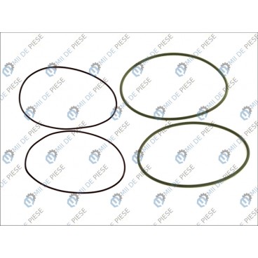 Set garnituri cilindru