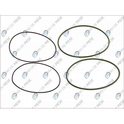 Set garnituri cilindru