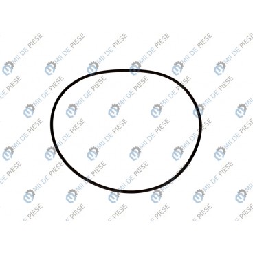 Etansare cutie viteze/element etansare