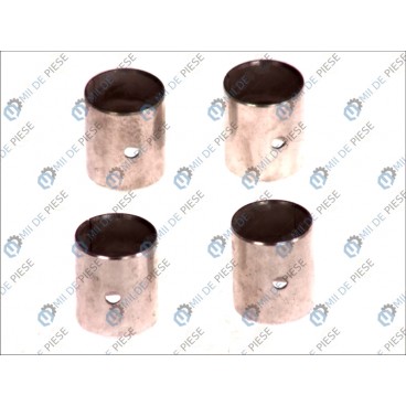 Cuzineti palier biela