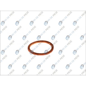 Garnitura buson ulei