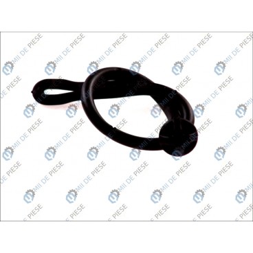 Agatatoare raft spate