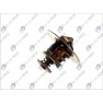 Termostat racire