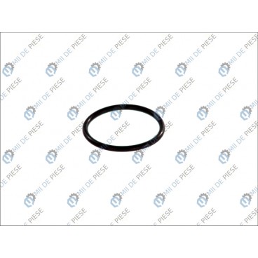 Garnitura pompa combustibil