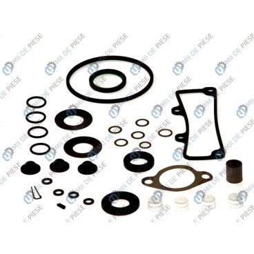 Kit reparatie pompa in linie