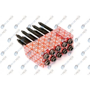 Set bolturi chiulasa