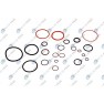 Set complet garnituri, motor